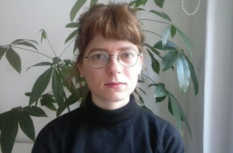 krustpunktiem bilde.jpg