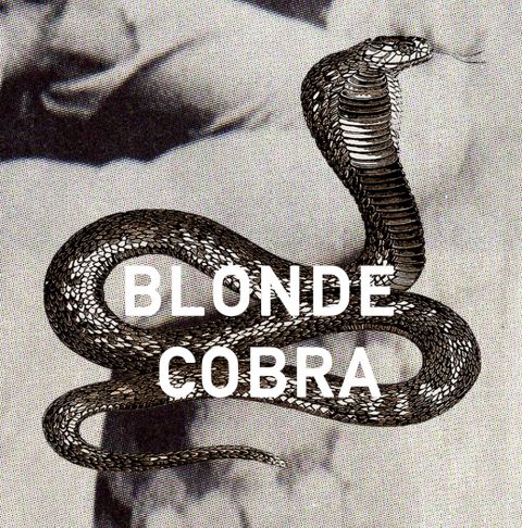 logo_cobra.jpg